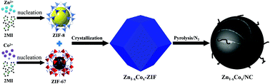 Graphical abstract: Influence of Zn and Co co-doping on oxygen evolution reaction electrocatalysis at MOF-derived N-doped carbon electrodes