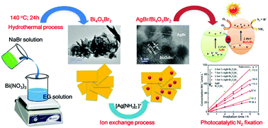 Graphical abstract: Fabrication of a Z-scheme AgBr/Bi4O5Br2 nanocomposite and its high efficiency in photocatalytic N2 fixation and dye degradation