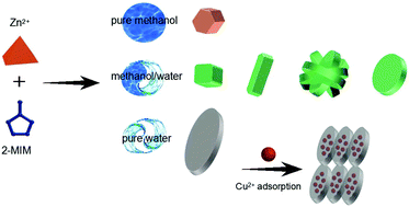 Graphical abstract: Nanostructured morphology control and phase transition of zeolitic imidazolate frameworks as an ultra-high performance adsorbent for water purification