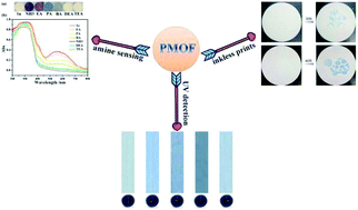 Graphical abstract: A novel multifunction photochromic metal–organic framework for rapid ultraviolet light detection, amine-selective sensing and inkless and erasable prints