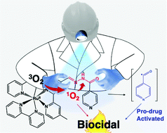 Graphical abstract: Light-induced disruption of an acyl hydrazone link as a novel strategy for drug release and activation: isoniazid as a proof-of-concept case