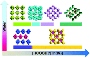 Graphical abstract: Unexpected structural complexity of thorium coordination polymers and polyoxo cluster built from simple formate ligands