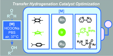 Graphical abstract: Structure–activity relationship study of half-sandwich metal complexes in aqueous transfer hydrogenation catalysis