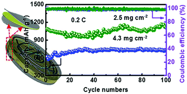 Graphical abstract: Graphene-nanoscroll-based Integrated and self-standing electrode with a sandwich structure for lithium sulfur batteries