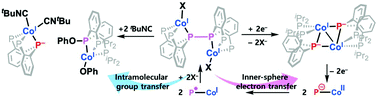 Graphical abstract: Metal–ligand cooperativity of a Co–P moiety