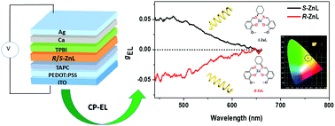 Graphical abstract: Strong circularly polarized electroluminescence based on chiral salen-Zn(ii) complex monomer chromophores