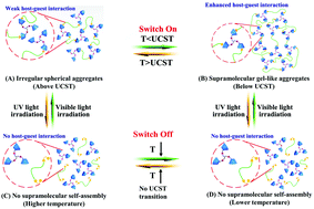 Graphical abstract: A light-tunable thermoresponsive supramolecular switch with reversible and complete “off–on”/“on–off” conversion