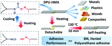 Graphical abstract: Strong, detachable, and self-healing dynamic crosslinked hot melt polyurethane adhesive