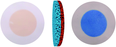 Graphical abstract: Janus polymer membranes prepared by single-side polydopamine deposition for dye adsorption and fine bubble aeration