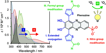 Graphical abstract: Phenazine-based photosensitizers for singlet oxygen generation