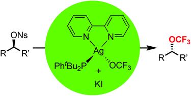 Graphical abstract: [Ag(bpy)(PPhtBu2)(OCF3)]: a stable nucleophilic reagent for chemoselective and stereospecific trifluoromethoxylation of secondary alkyl nosylates