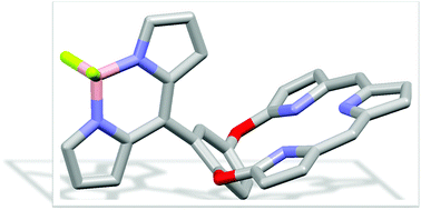 Graphical abstract: Orthogonally arranged tripyrrin–BODIPY conjugates with an “edge to plane” mode