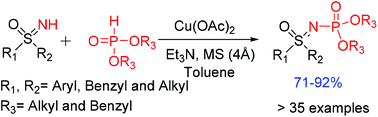 Graphical abstract: Copper-promoted dehydrogenative cross-coupling reaction of dialkyl phosphites with sulfoximines