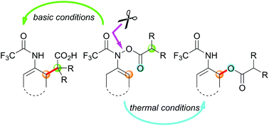Graphical abstract: Reagent-controlled regiodivergence in the [3,3]-sigmatropic rearrangement of N-(acyloxy)enamides