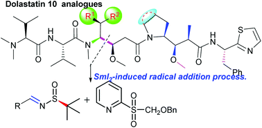 Graphical abstract: A diastereoselective approach to amino alcohols and application for divergent synthesis of dolastatin 10