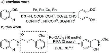Graphical abstract: Palladium-catalyzed ortho-selective C–H hydroxylation of carboxybenzyl-protected benzylamines