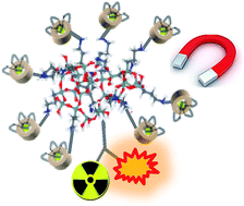 Graphical abstract: Functionalization of theranostic AGuIX® nanoparticles for PET/MRI/optical imaging