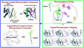 Graphical abstract: Exploring the mode of action of inhibitors targeting the PhoP response regulator of Salmonella enterica through comprehensive pharmacophore approaches