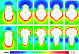 Graphical abstract: Hydrogen bonding capabilities of group 14 homologues of HCN and HNC