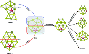 Graphical abstract: Structural exploration of AuxM− (M = Si, Ge, Sn; x = 9–12) clusters with a revised genetic algorithm