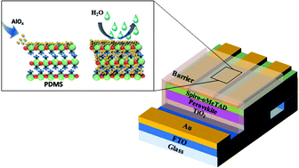 Graphical abstract: Development of moisture-proof polydimethylsiloxane/aluminum oxide film and stability improvement of perovskite solar cells using the film