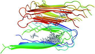 Graphical abstract: Adequate prediction for inhibitor affinity of Aβ40 protofibril using the linear interaction energy method