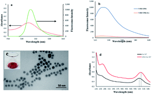 Graphical abstract: Sensitive detection of methylated DNA and methyltransferase activity based on the lighting up of FAM-labeled DNA quenched fluorescence by gold nanoparticles
