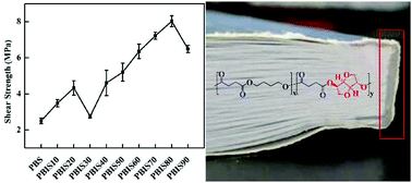 Graphical abstract: Biodegradable copolyester poly(butylene-co-isosorbide succinate) as hot-melt adhesives