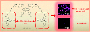 Graphical abstract: Aza-BODIPY probe for selective visualization of cyclooxygenase-2 in cancer cells