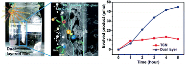 Graphical abstract: Evaluation of dual layered photoanode for enhancement of visible-light-driven applications