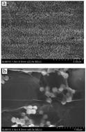 Graphical abstract: Facile synthesis of a zeolitic imidazolate framework-8 with reduced graphene oxide hybrid material as an efficient electrocatalyst for nonenzymatic H2O2 sensing