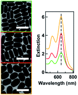 Graphical abstract: Tailoring optical cross sections of gold nanorods at a target plasmonic resonance wavelength using bromosalicylic acid