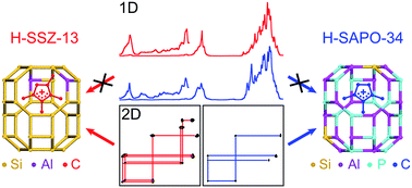 Graphical abstract: Identification of different carbenium ion intermediates in zeolites with identical chabazite topology via 13C–13C through-bond NMR correlations