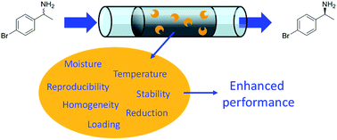 Graphical abstract: Biocatalytic transamination in a monolithic flow reactor: improving enzyme grafting for enhanced performance