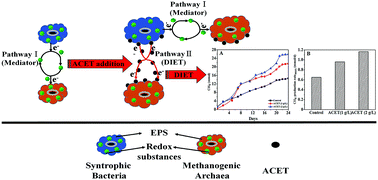 Graphical abstract: Study on enhancing sludge methanogenesis by adding acetylene black and effect on the characteristics & microbial community of anaerobic granular sludge