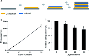 Graphical abstract: Strategically prolonged release of multiple antibacterial components from a thin film coating for synergistic effects against Staphylococcus aureus infections