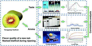 Graphical abstract: Tracing internal quality and aroma of a red-fleshed kiwifruit during ripening by means of GC-MS and E-nose