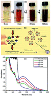 Graphical abstract: DNA-binding, antioxidant, H2O2 sensing and photocatalytic properties of biogenic silver nanoparticles using Ageratum conyzoides L. leaf extract