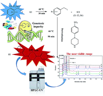 Graphical abstract: A new HPLC-UV derivatization approach for the determination of potential genotoxic benzyl halides in drug substances