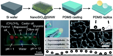 Graphical abstract: Fabrication of a flexible transparent superomniphobic polydimethylsiloxane surface with a micropillar array
