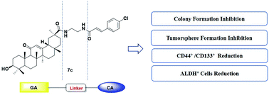 Graphical abstract: Synthesis and discovery of 18β-glycyrrhetinic acid derivatives inhibiting cancer stem cell properties in ovarian cancer cells