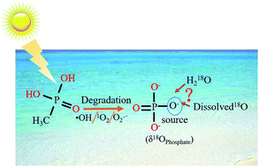 Graphical abstract: Mechanism of methylphosphonic acid photo-degradation based on phosphate oxygen isotopes and density functional theory