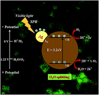 Graphical abstract: Plasmonic Ag decorated CdMoO4 as an efficient photocatalyst for solar hydrogen production