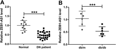 Graphical abstract: LncRNA ZEB1-AS1 inhibits renal fibrosis in diabetic nephropathy by regulating the miR-217/MAFB axis