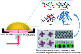 Graphical abstract: Biomaterial-based microstructures fabricated by two-photon polymerization microfabrication technology