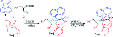 Graphical abstract: Discovery of diazahexa/hepta cyclic cage-like compounds with broad-spectrum antifungal activity against Candida and Cryptococcus species