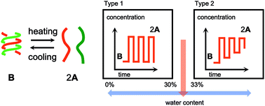 Graphical abstract: Formation and dissociation of synthetic hetero-double-helix complex in aqueous solutions: significant effect of water content on dynamics of structural change