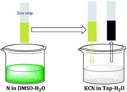 Graphical abstract: A naphthoquinone based colorimetric probe for real-time naked eye detection of biologically important anions including cyanide ions in tap water: experimental and theoretical studies