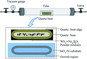 Graphical abstract: CVD controlled growth of large-scale WS2 monolayers