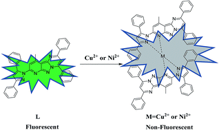 Graphical abstract: Dual-response detection of Ni2+ and Cu2+ ions by a pyrazolopyrimidine-based fluorescent sensor and the application of this sensor in bioimaging